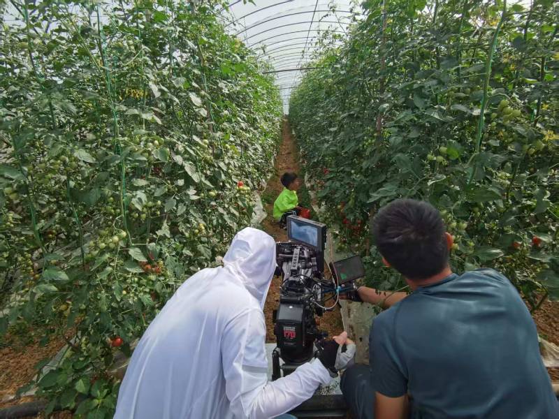 明水县产品宣传视频拍摄公司进阶指南，助力品牌抢占传播高地